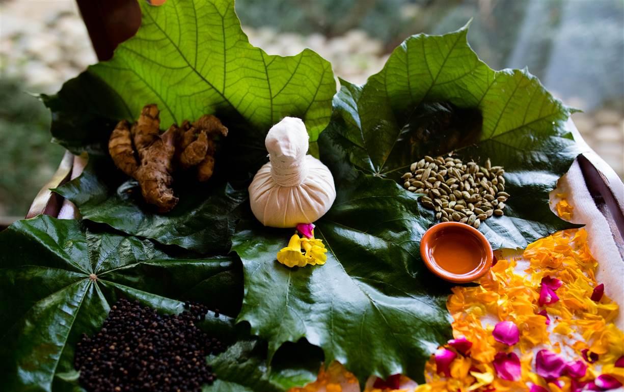 Skin Treatment Ayurveda
